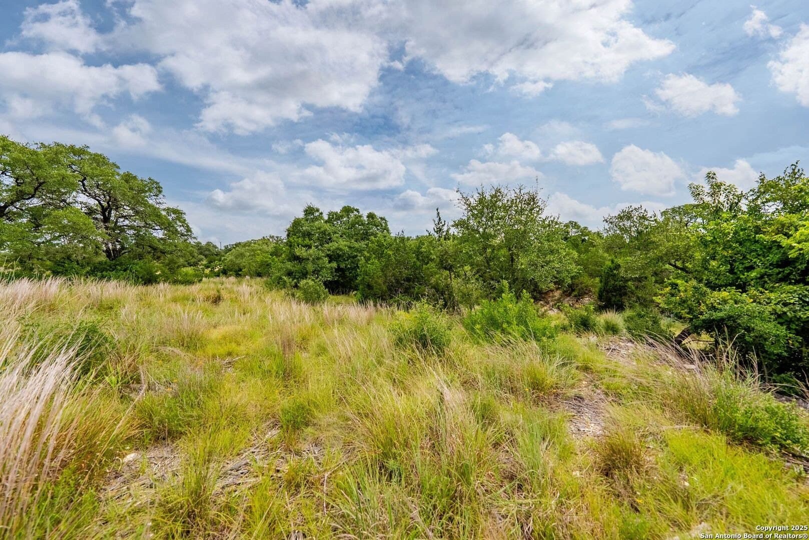 0.64 acres in Bexar County - photo 37
