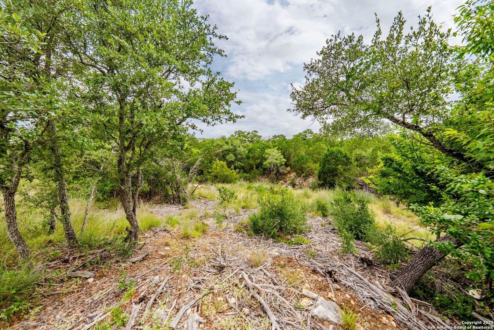 0.64 acres in Bexar County - photo 38