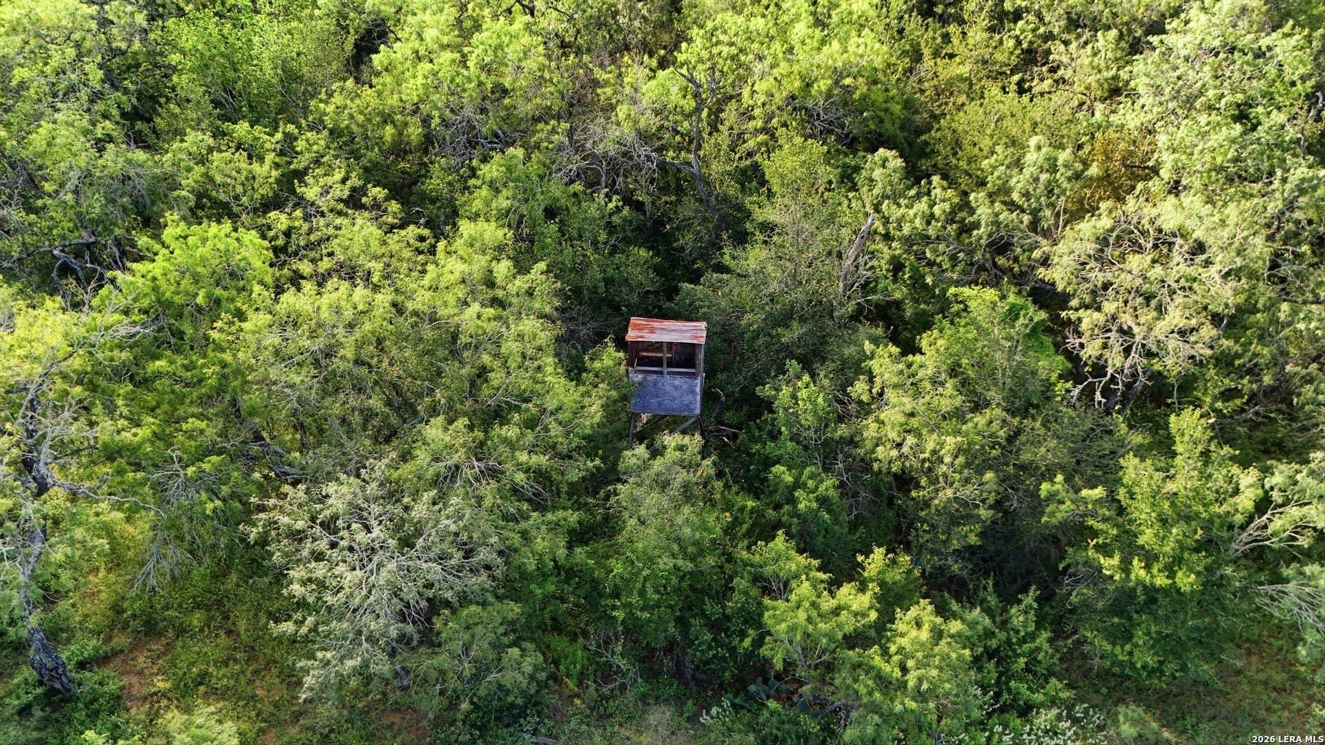 4.55 acres in Guadalupe County - photo 11