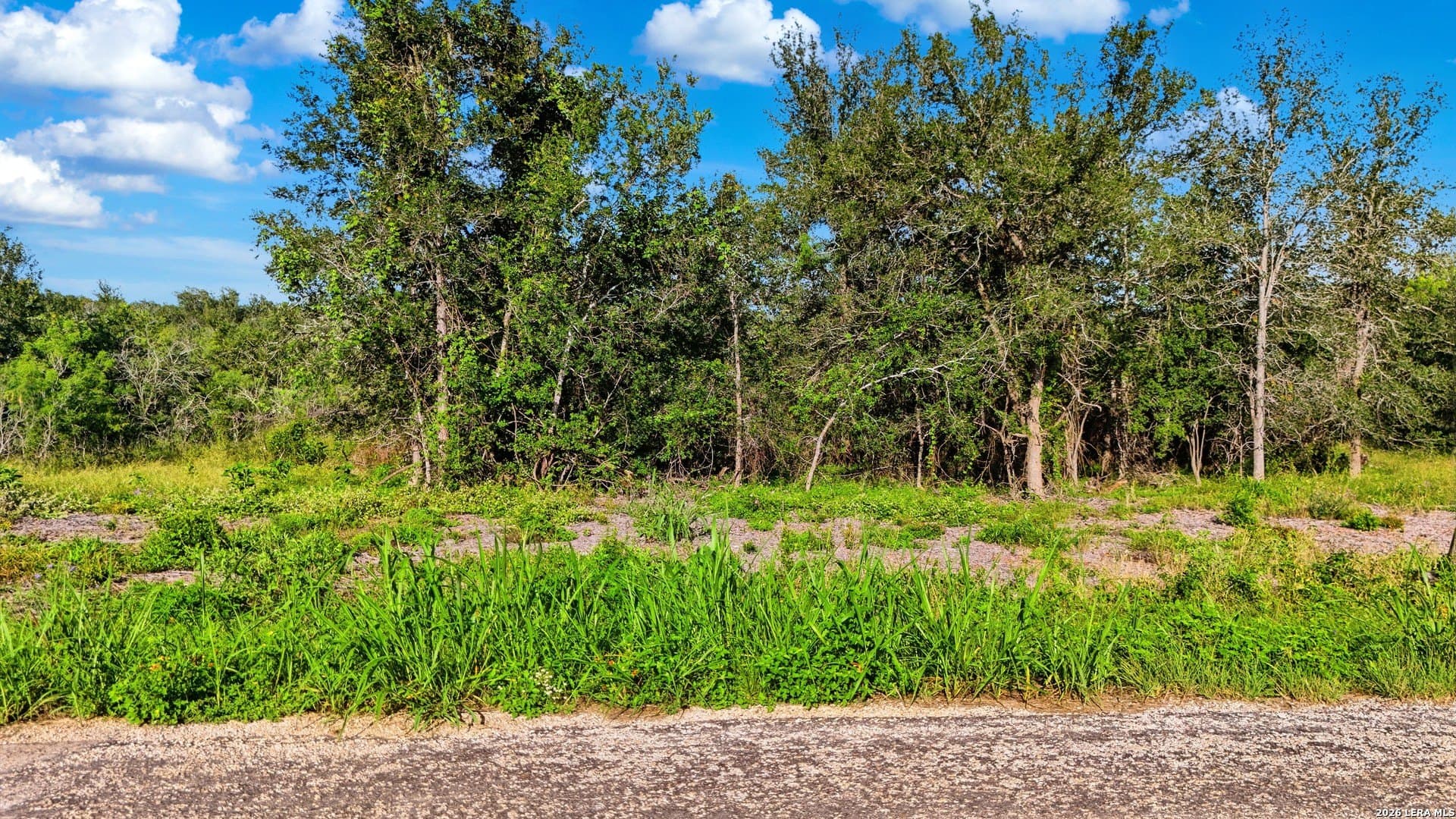 4.55 acres in Guadalupe County gallery image 2