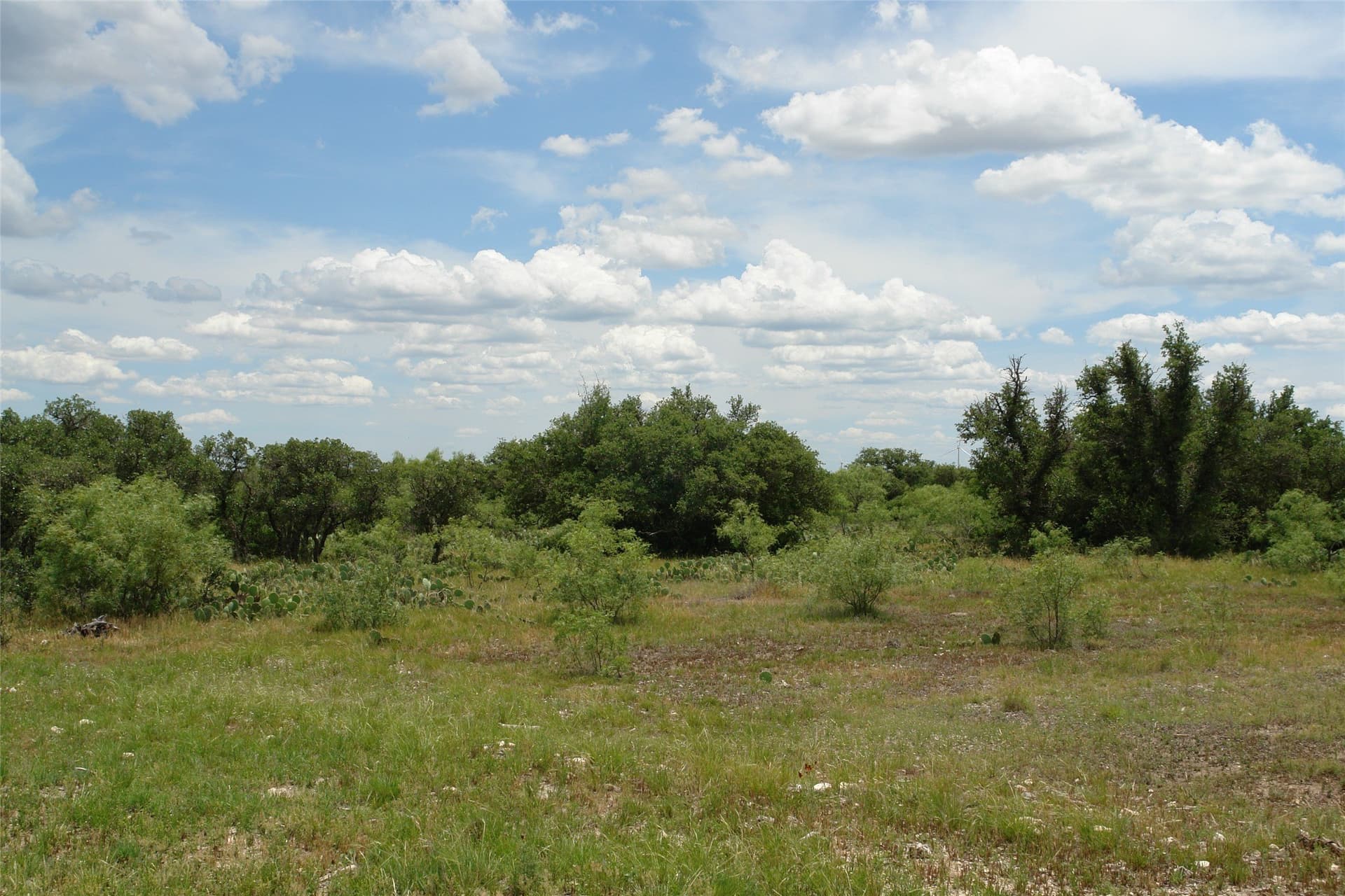 50.03 acres in Concho County gallery image 4