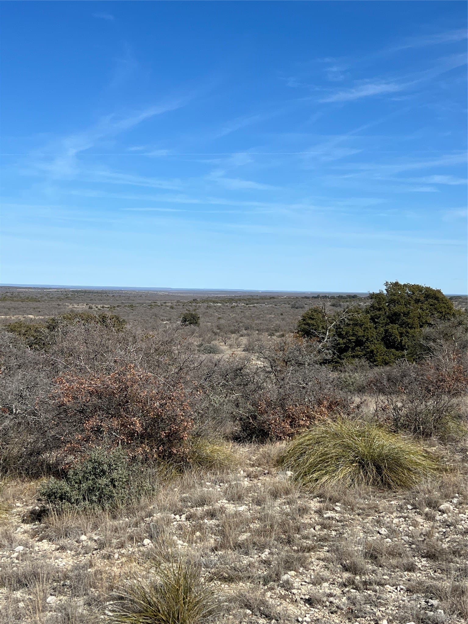 50.03 acres in Concho County - photo 6