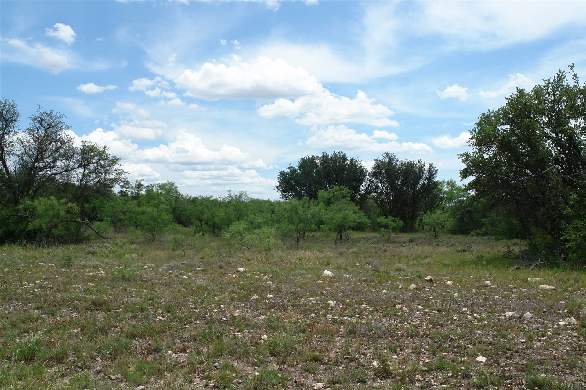 50.03 acres in Concho County
