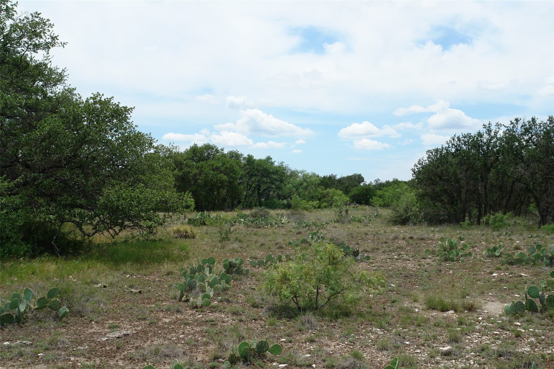 50.03 acres in Concho County gallery image 2