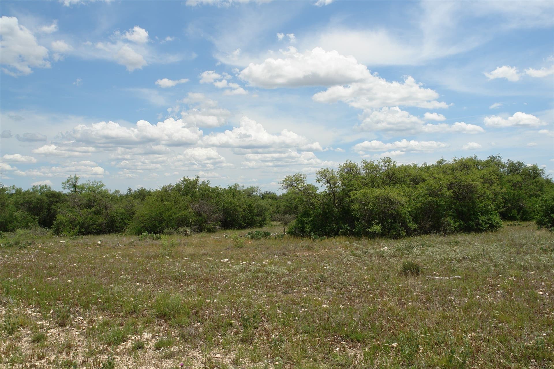 50.03 acres in Concho County featured view