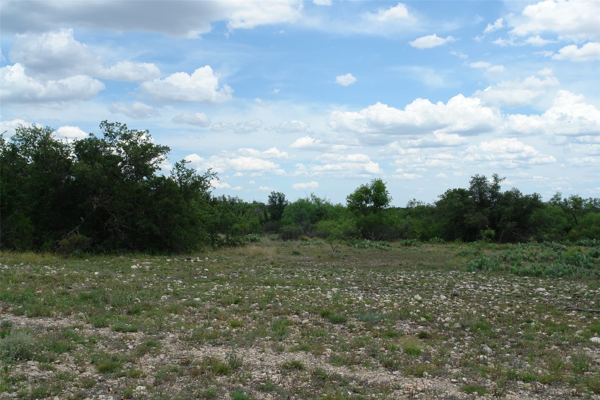 50.03 acres in Concho County - photo 7