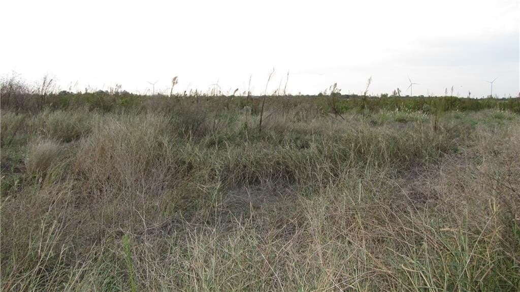 5.2 acres in San Patricio County