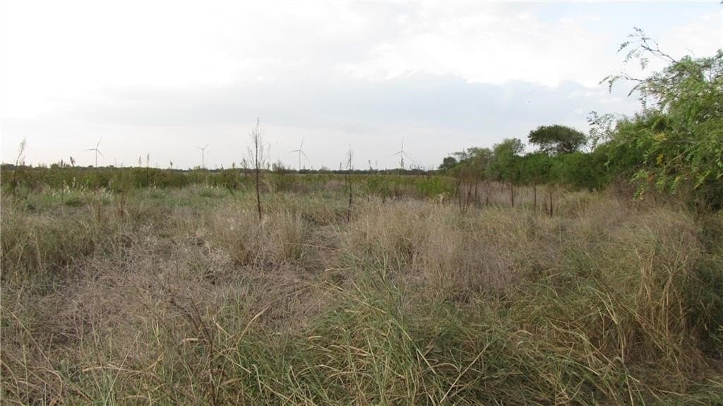 5.2 acres in San Patricio County gallery image 4