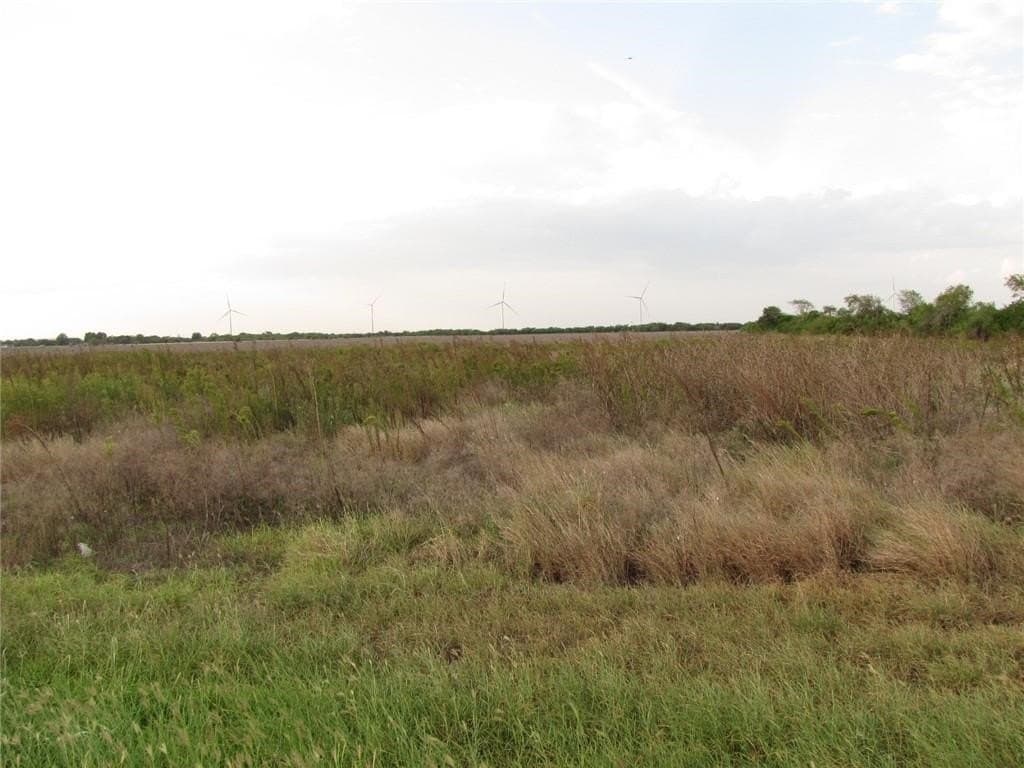 5.2 acres in San Patricio County gallery image 3