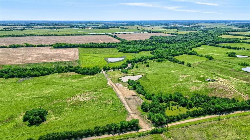 54.79 acres in Fannin County featured view