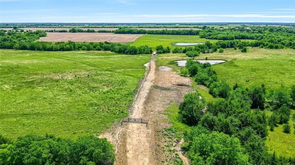 54.79 acres in Fannin County gallery image 4