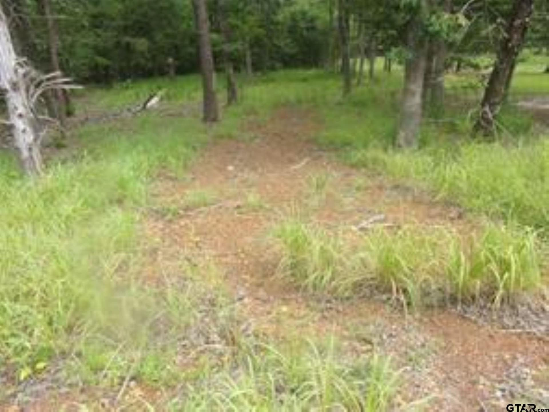 0.2 acres in Van Zandt County - photo 3