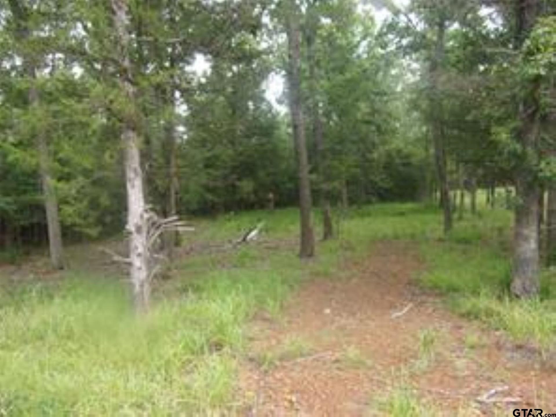 0.2 acres in Van Zandt County - photo 4