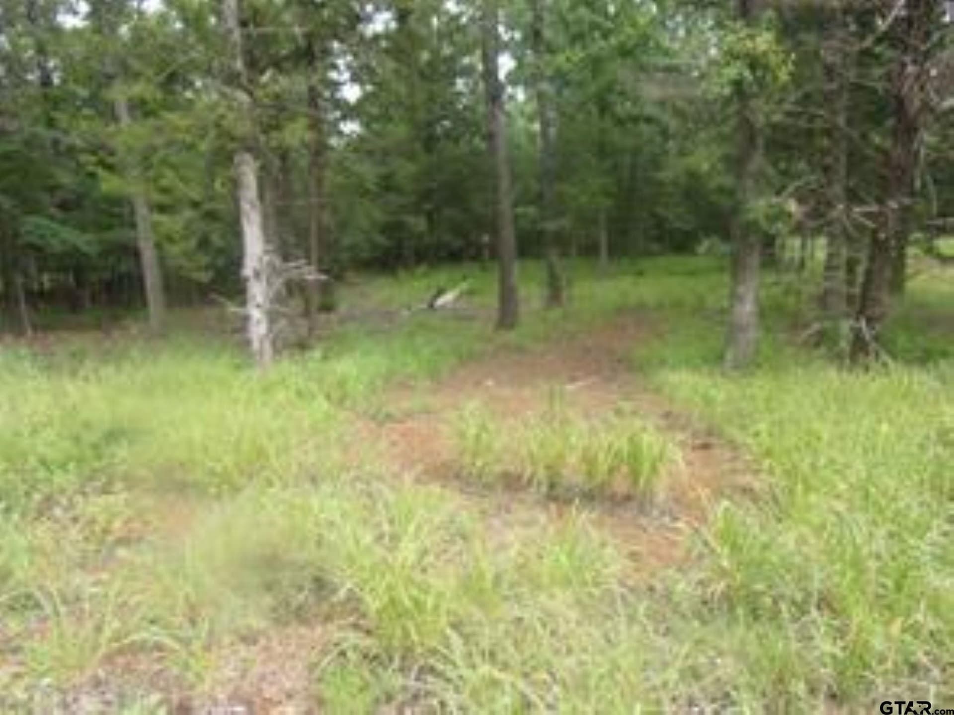0.2 acres in Van Zandt County - photo 2