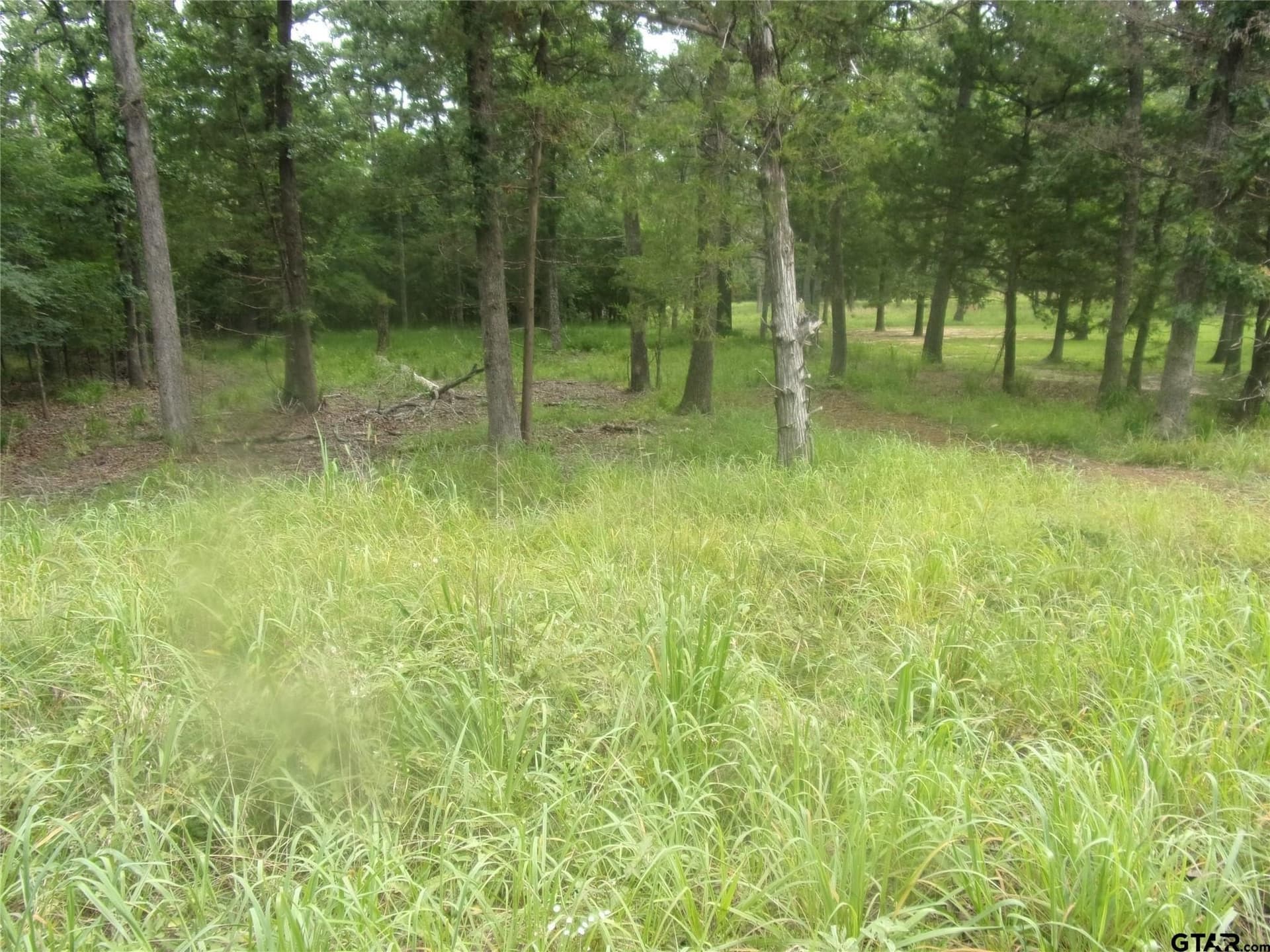 0.2 acres in Van Zandt County