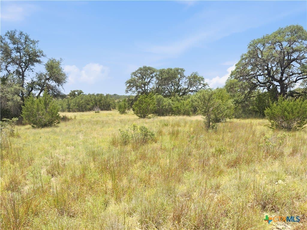 9.02 acres in Blanco County - photo 7