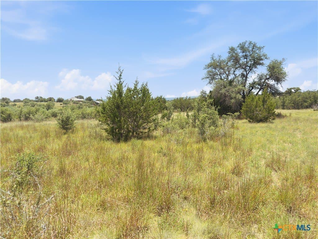 9.02 acres in Blanco County - photo 8
