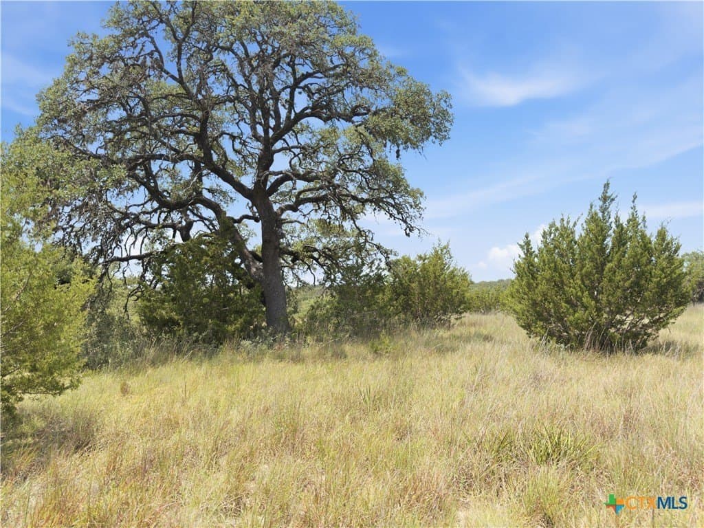 9.02 acres in Blanco County