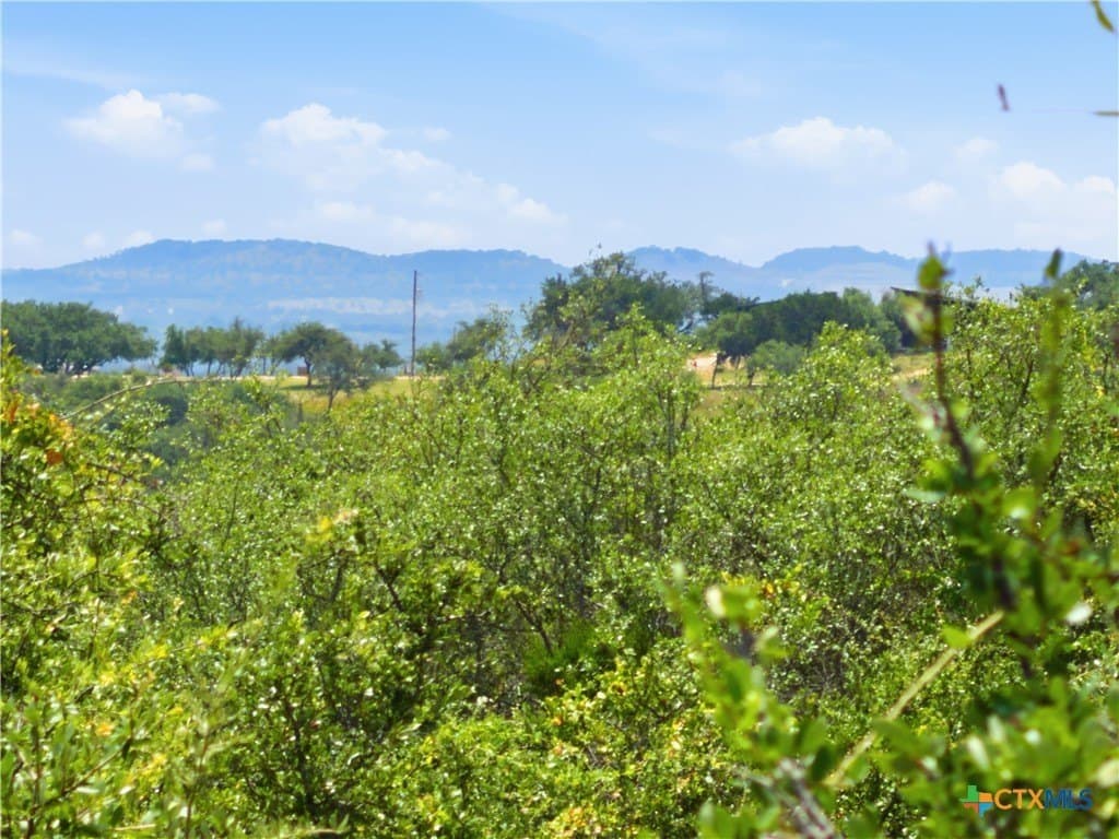 9.02 acres in Blanco County - photo 2