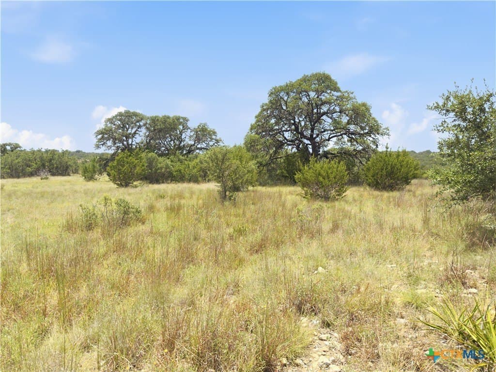 9.02 acres in Blanco County - photo 9