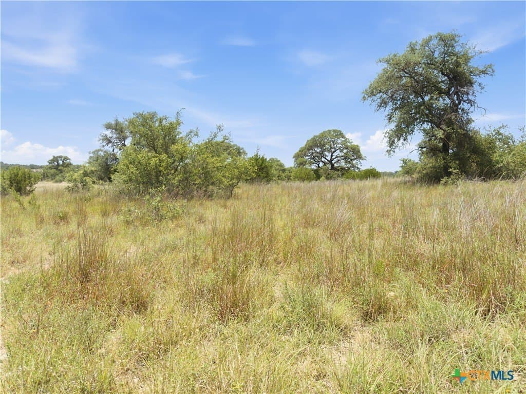 9.02 acres in Blanco County - photo 10