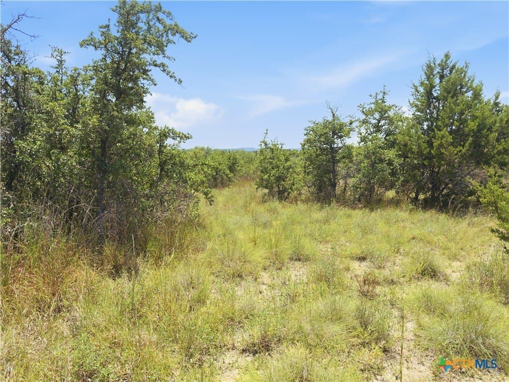 9.02 acres in Blanco County - photo 14