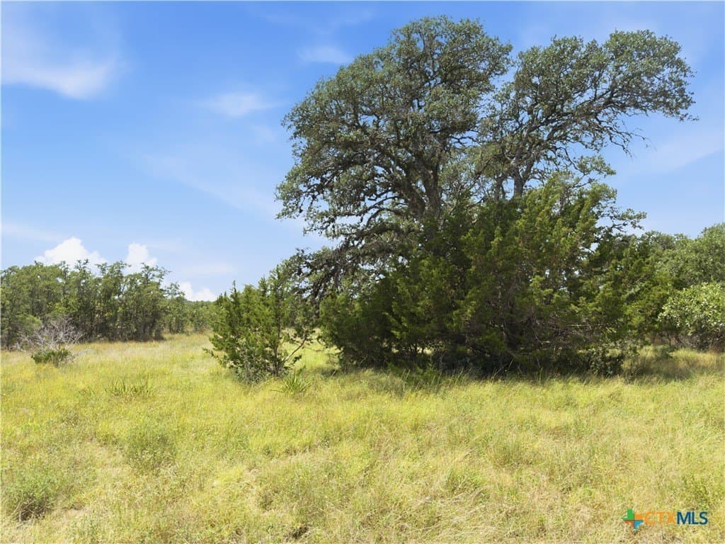9.02 acres in Blanco County - photo 21