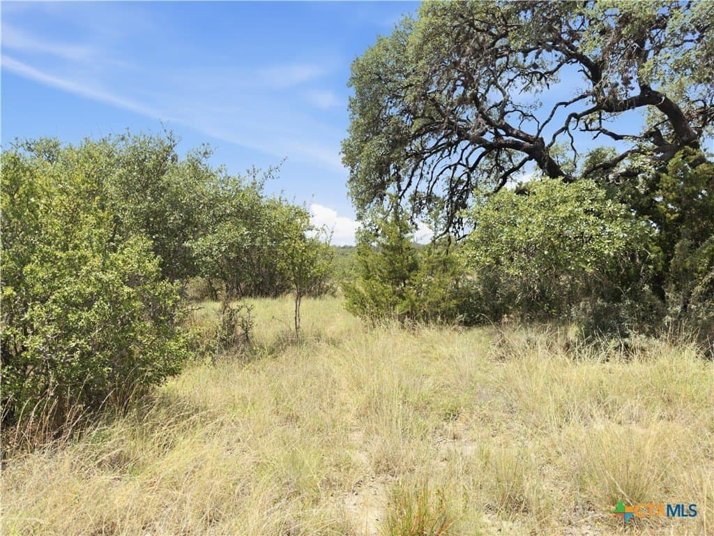 9.02 acres in Blanco County - photo 3