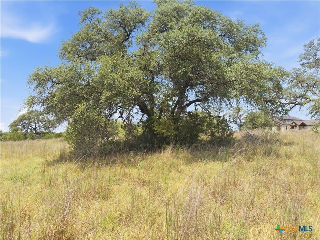 9.02 acres in Blanco County - photo 15