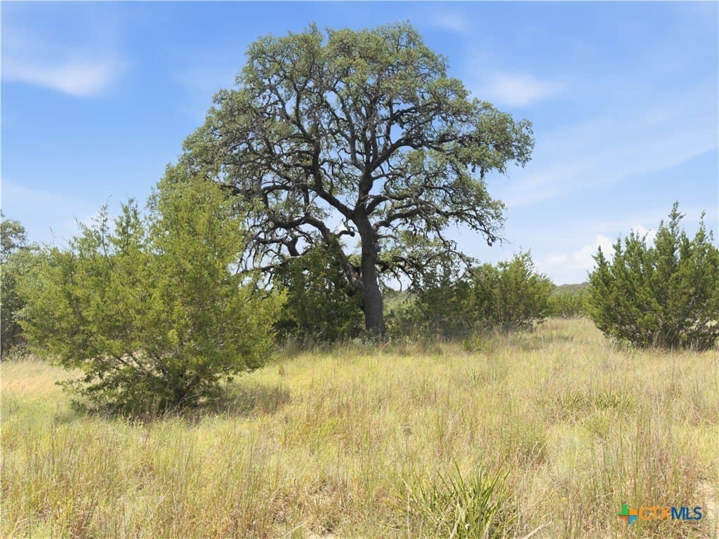 9.02 acres in Blanco County - photo 6
