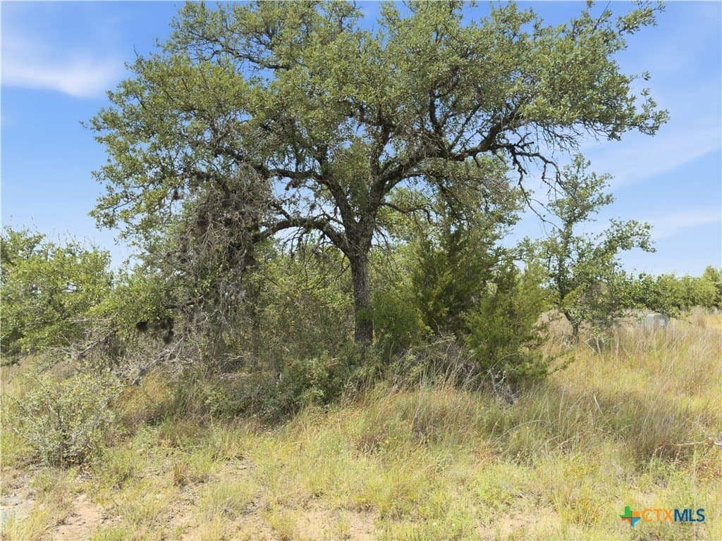 9.02 acres in Blanco County - photo 19