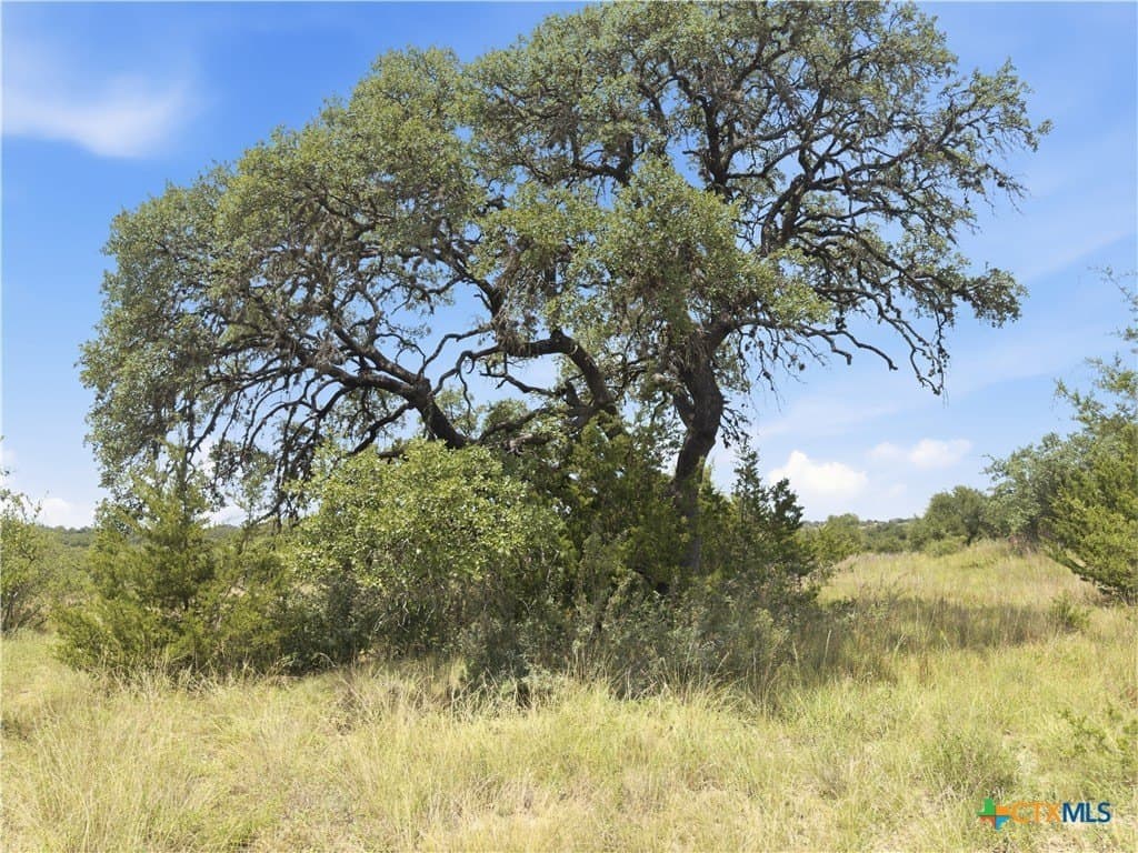 9.02 acres in Blanco County - photo 4