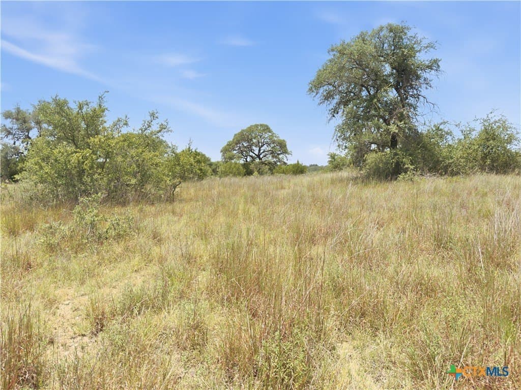 9.02 acres in Blanco County - photo 17