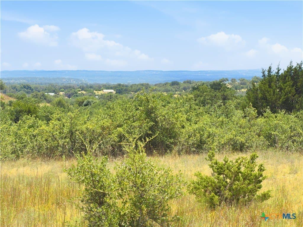 9.02 acres in Blanco County - photo 18