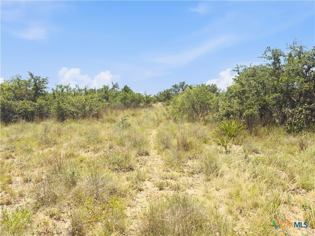 9.02 acres in Blanco County - photo 12