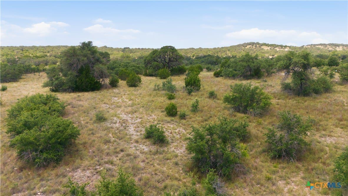 9.02 acres in Blanco County - photo 25