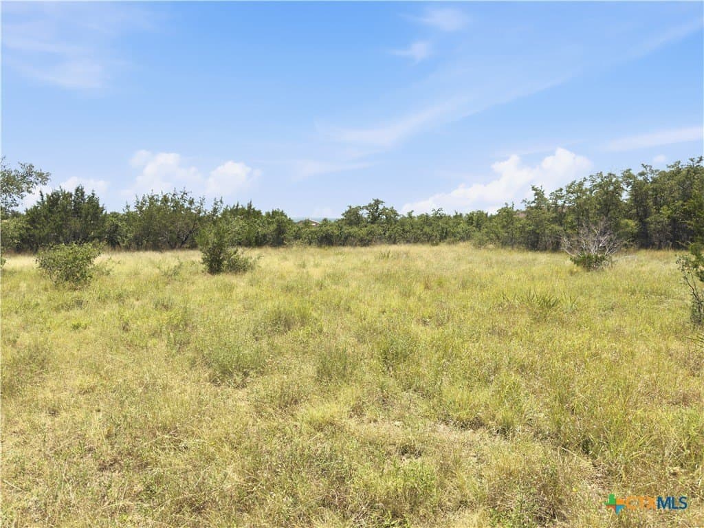 9.02 acres in Blanco County - photo 22