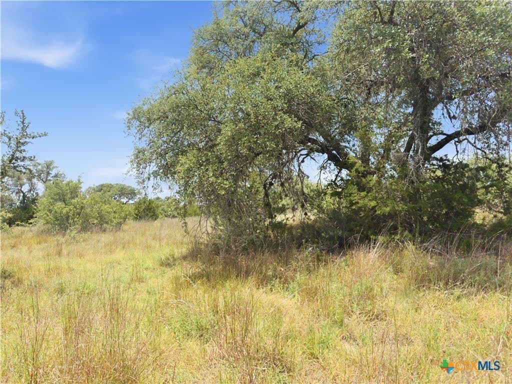 9.02 acres in Blanco County - photo 16
