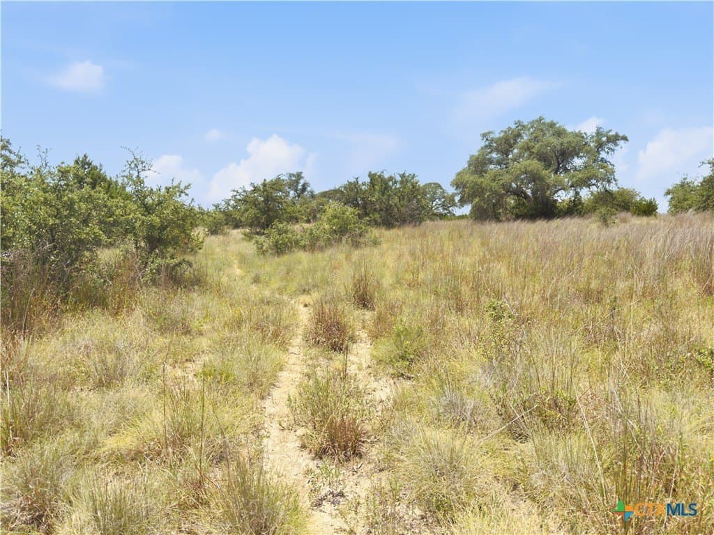 9.02 acres in Blanco County - photo 13