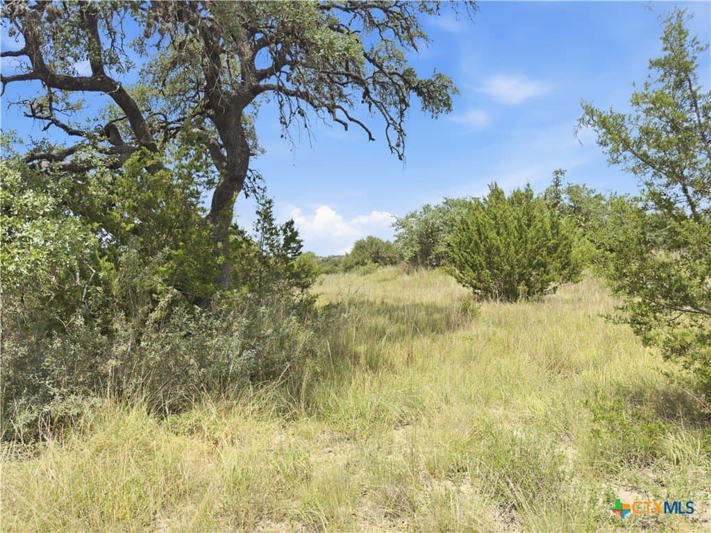 9.02 acres in Blanco County - photo 5