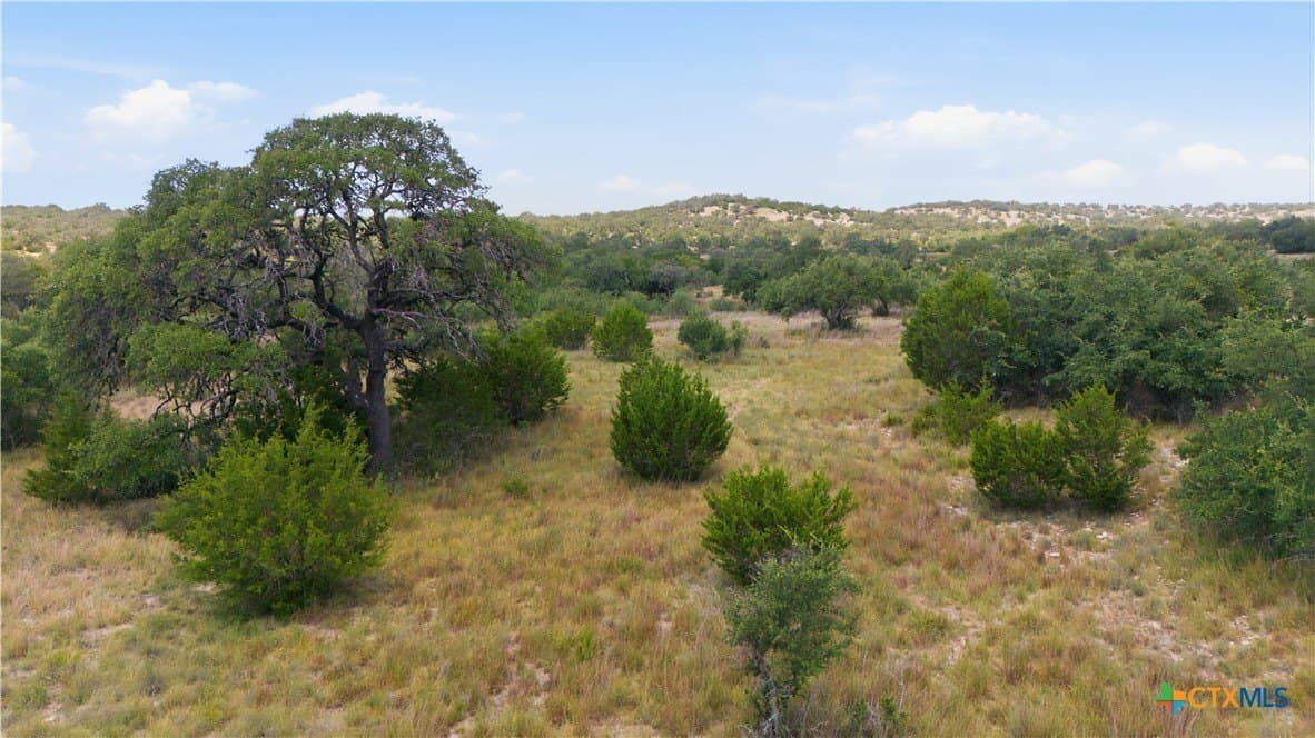 9.02 acres in Blanco County - photo 26