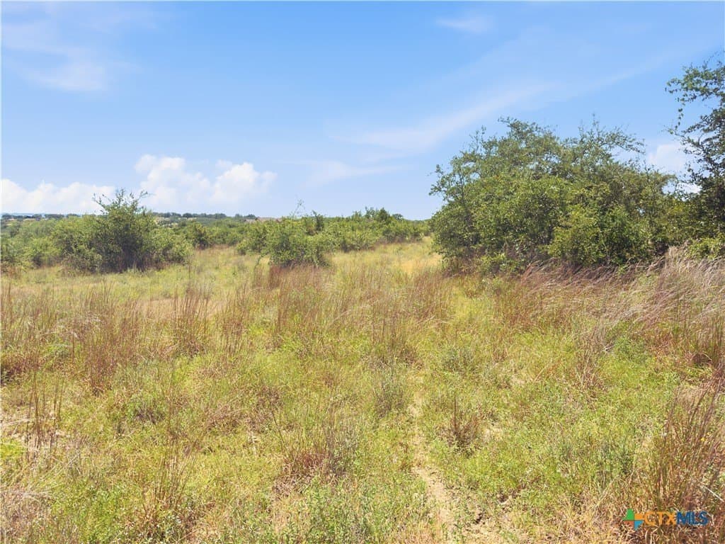 9.02 acres in Blanco County - photo 11