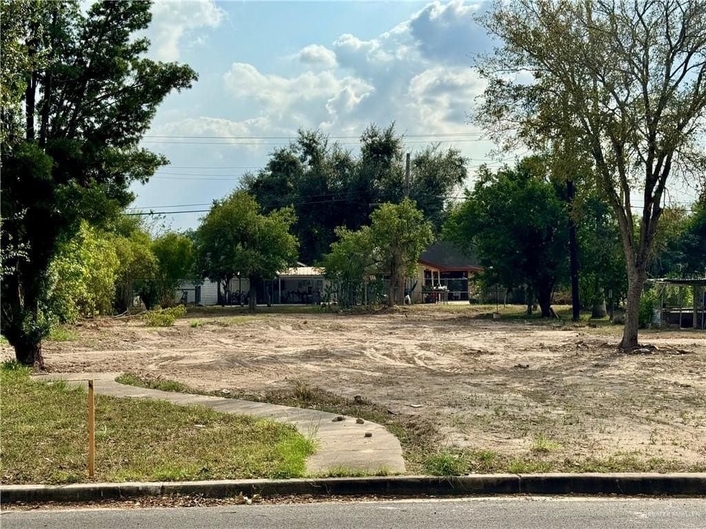 0.16 acres in Hidalgo County gallery image 3