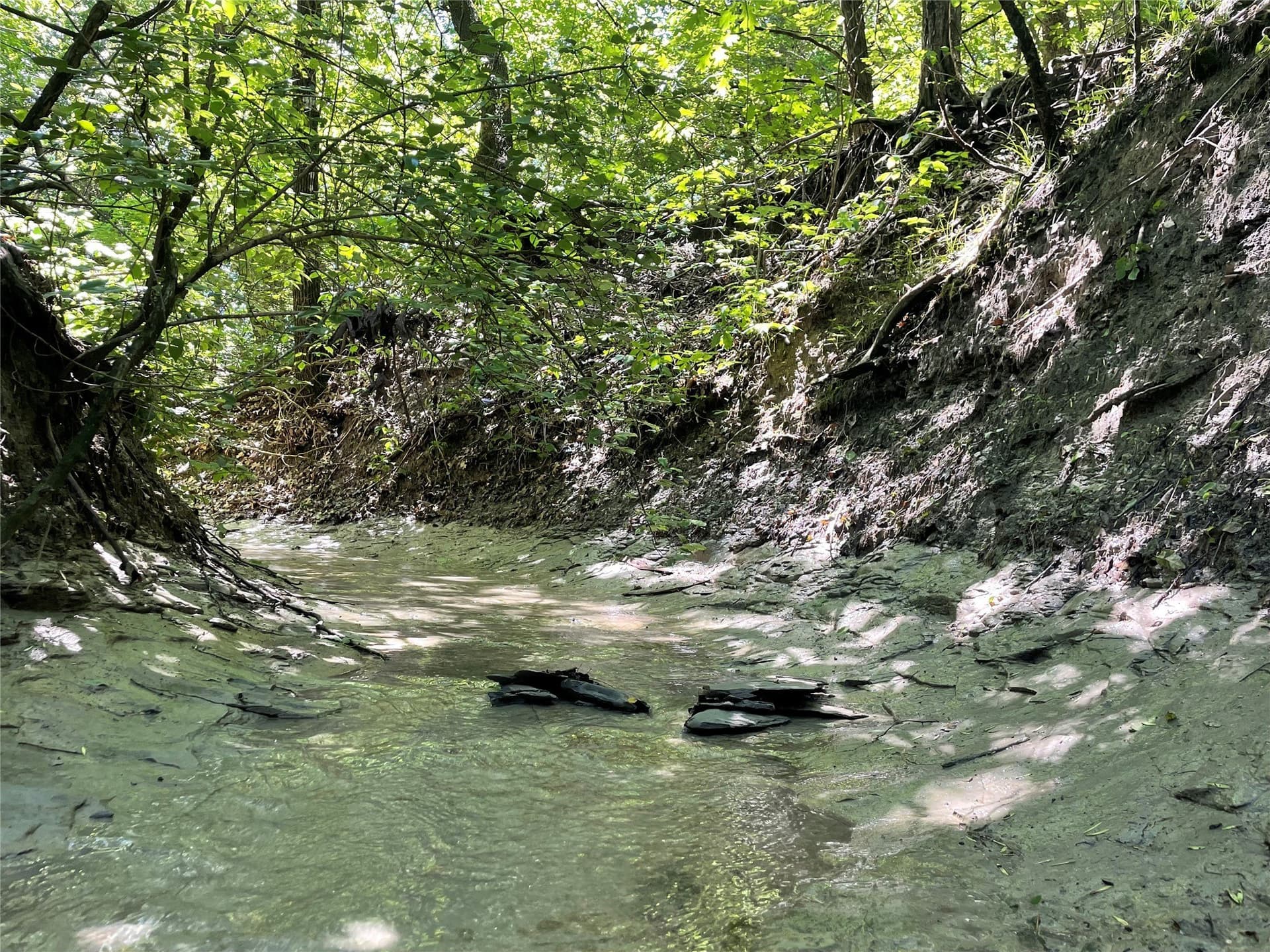 18.77 acres in Grayson County - photo 5