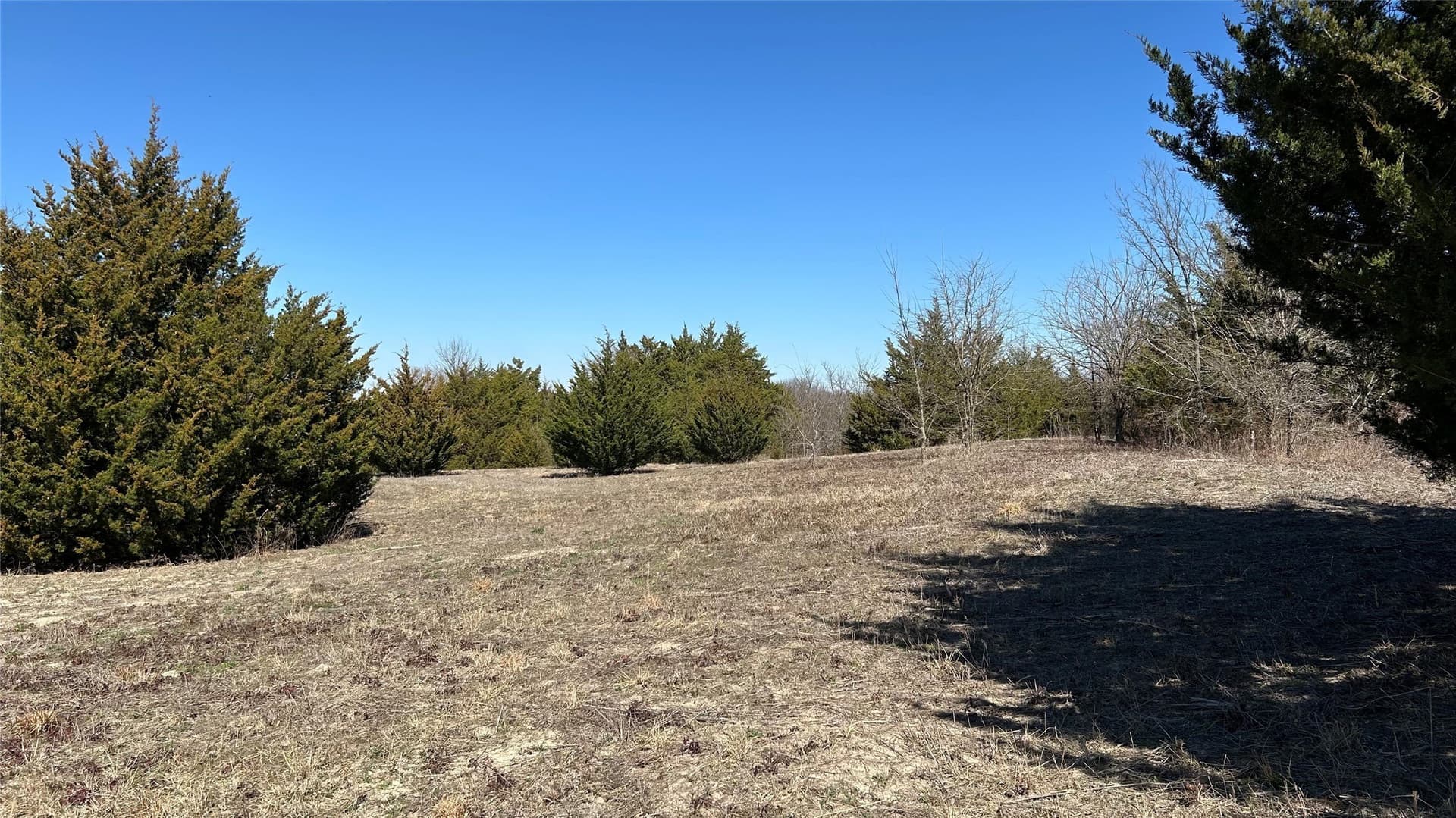 18.77 acres in Grayson County - photo 11