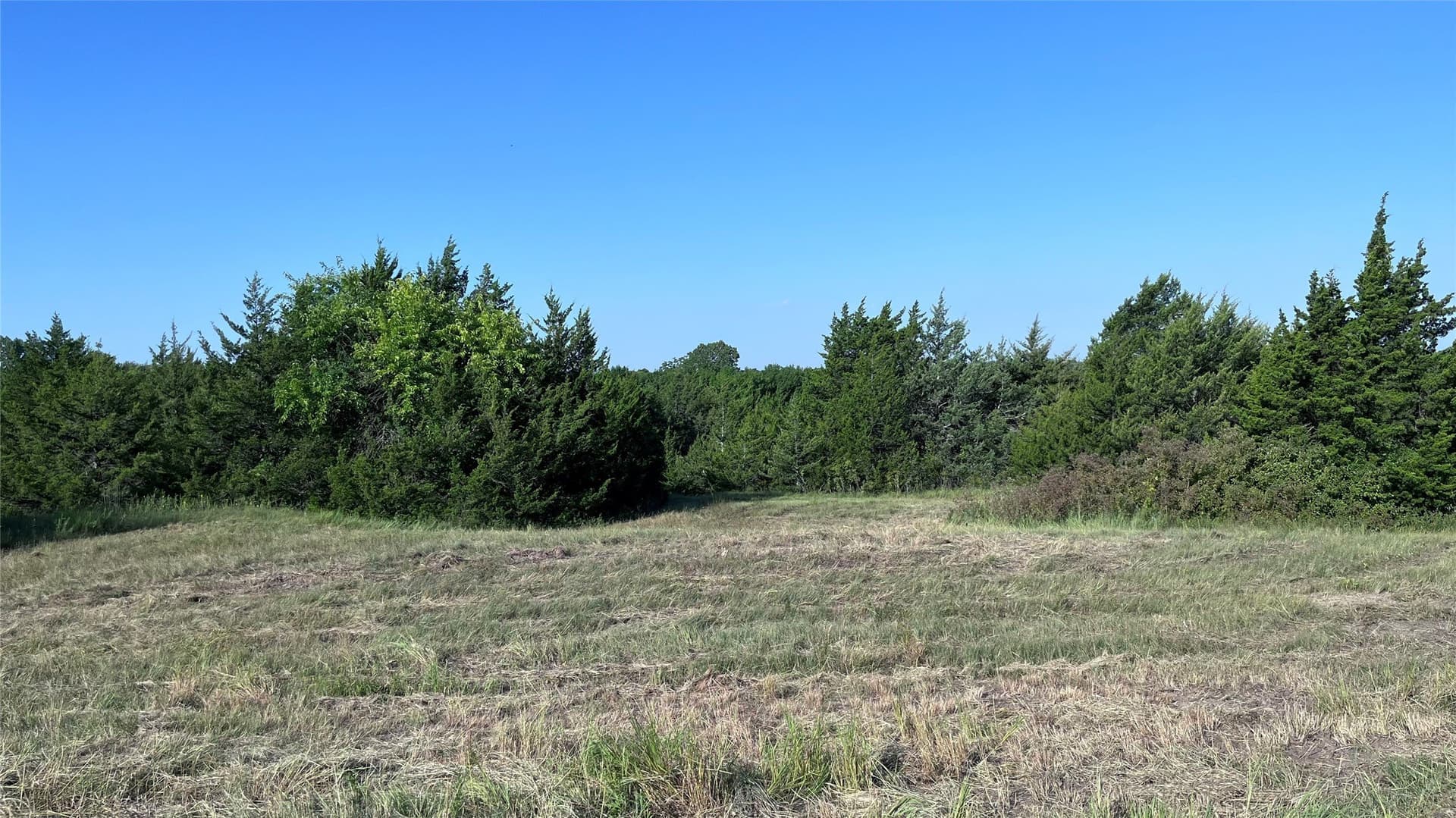 18.77 acres in Grayson County - photo 13