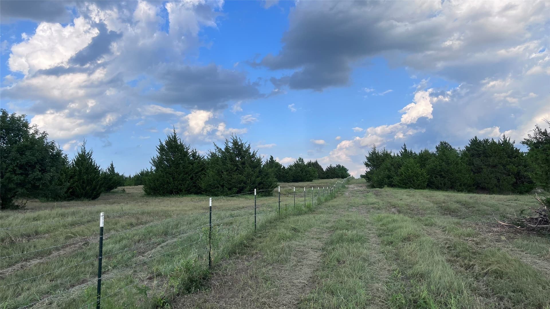 18.77 acres in Grayson County - photo 6