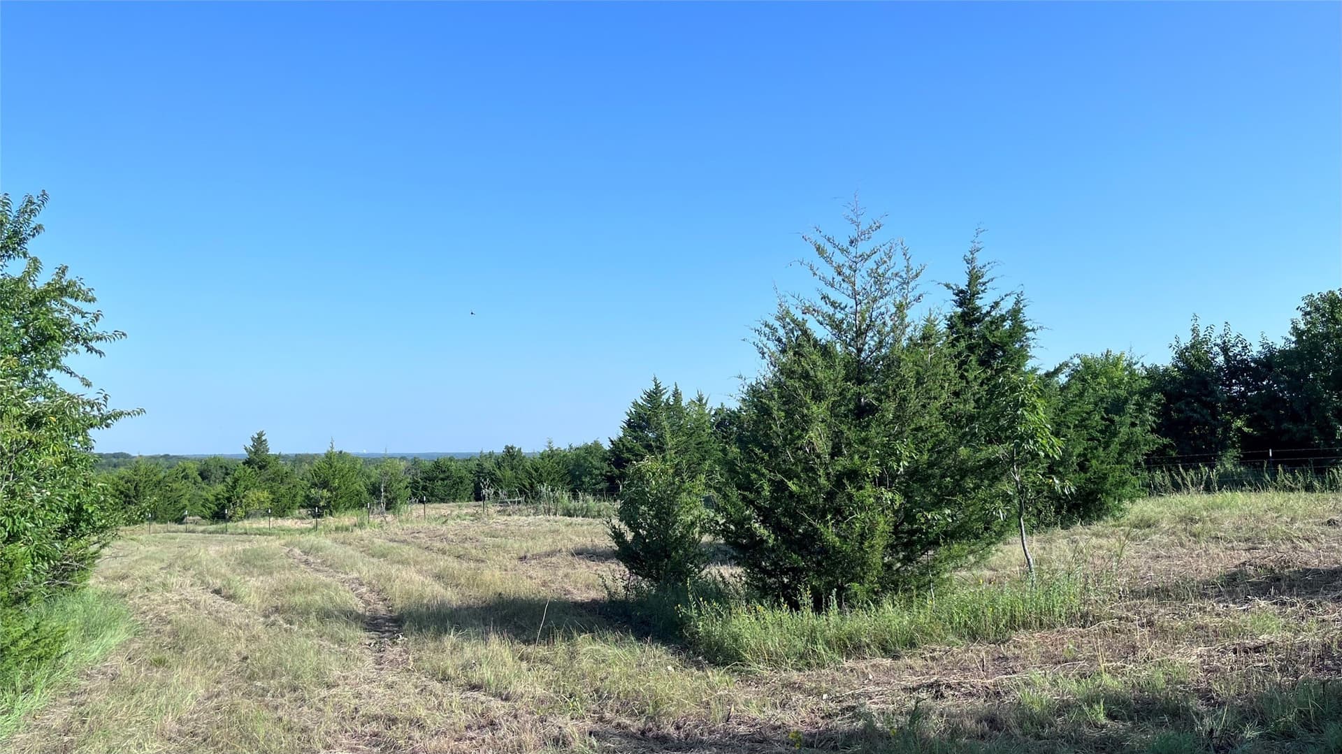18.77 acres in Grayson County - photo 9
