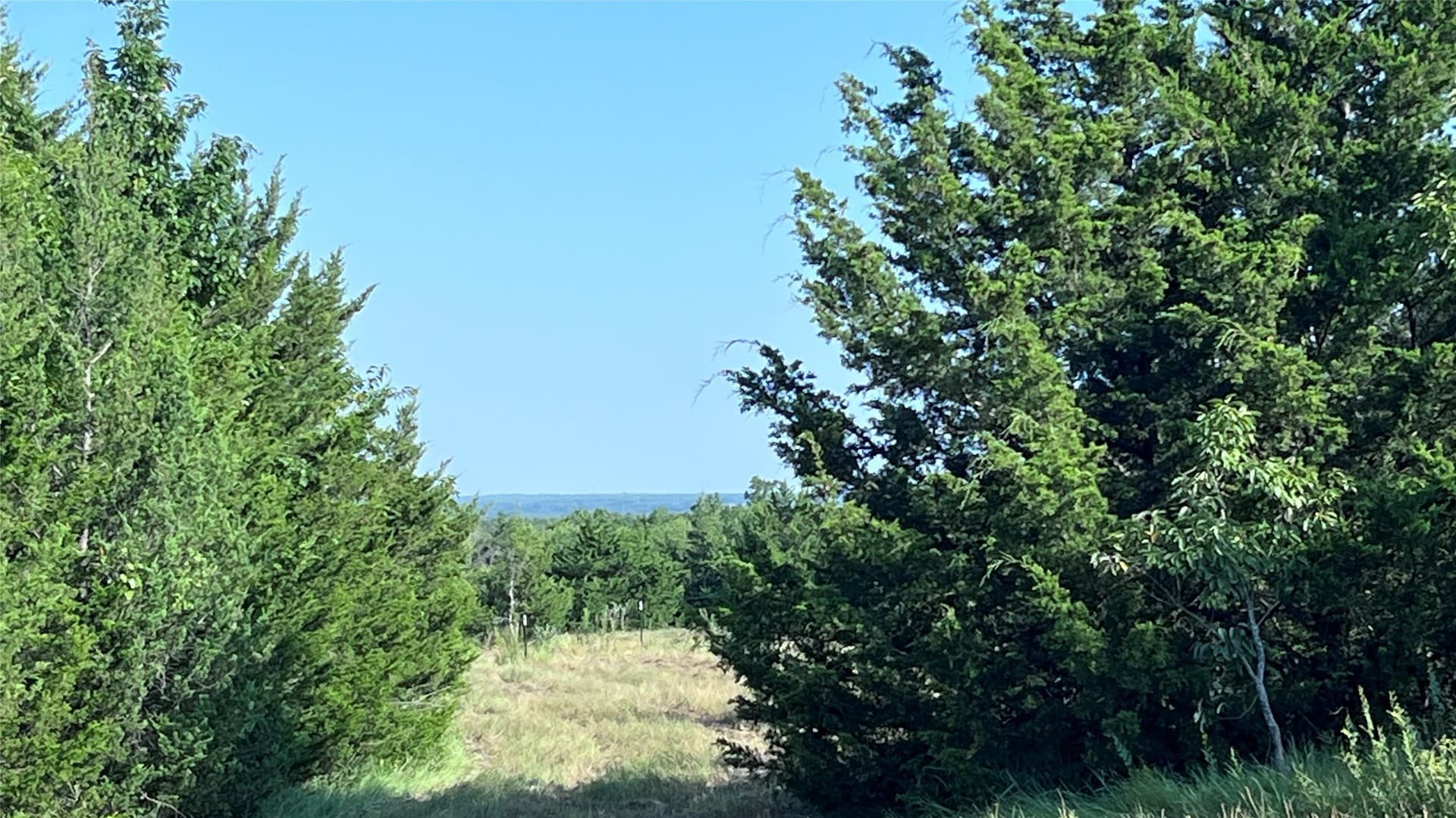 18.77 acres in Grayson County - photo 4