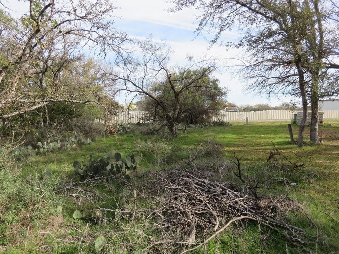 0.35 acres in Llano County gallery image 3